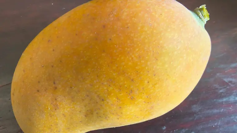 feria-mango-coatlán-morelos (1)