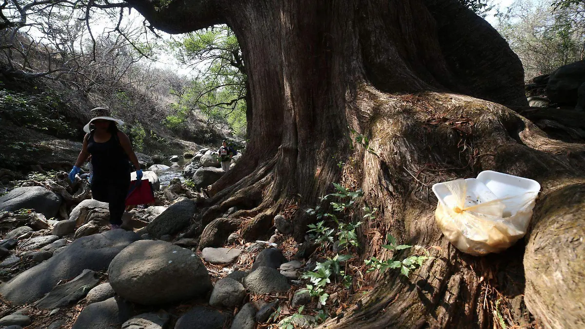 1077178_Limpieza Barranca Bedoya_web