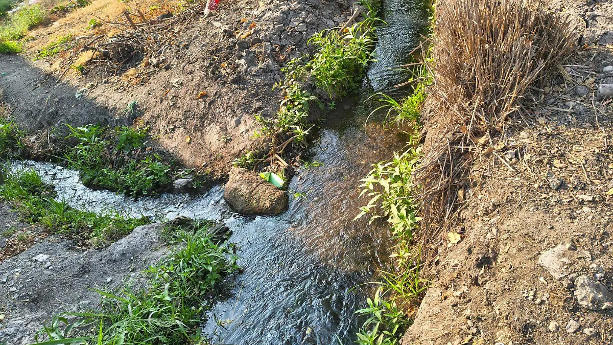 protección-civil-zona-sur