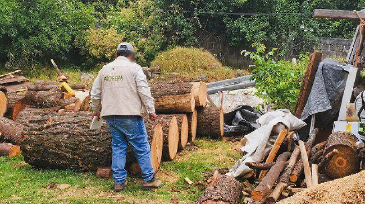 profepa-decomiso (1)