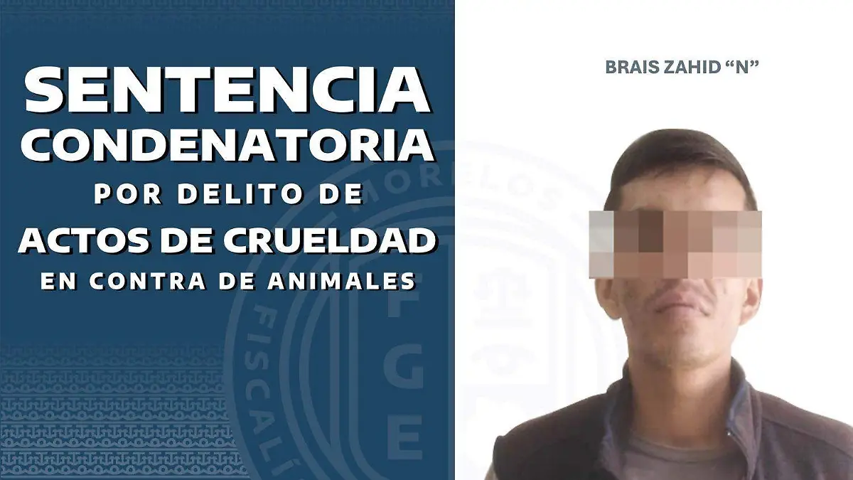 WhatsApp Image 2026-04-14 at 2.09.13 PM (1)