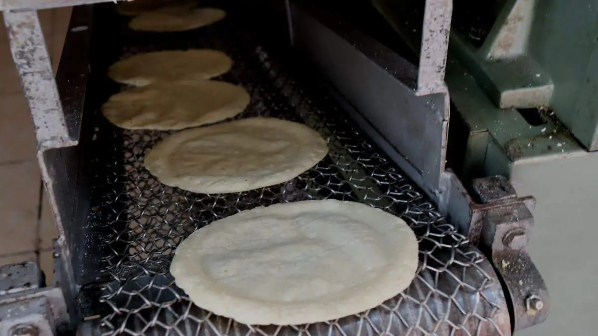 tortillas-problematica1-luis-flores
