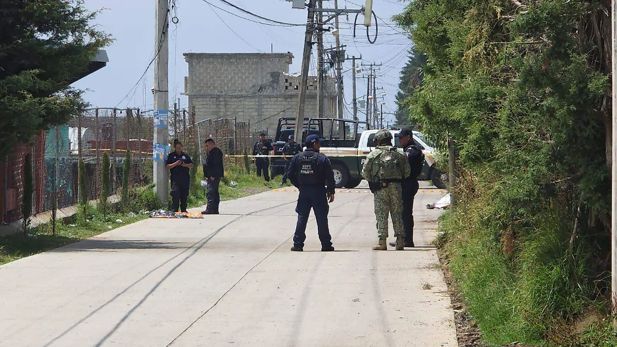 WhatsApp Image 2026-04-23 at 11.52.26 AM