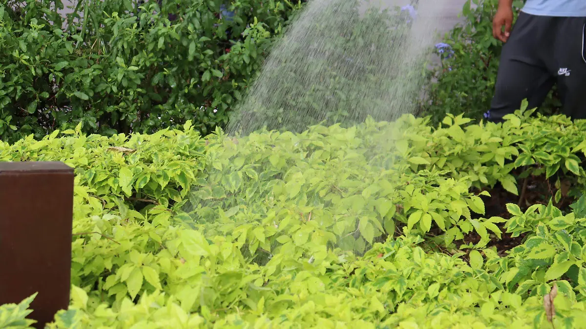 ceagua-javierbolaños1-luis-flores