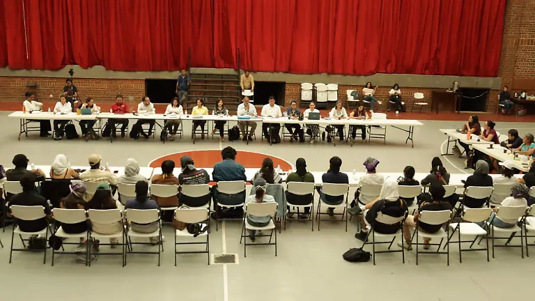 estudiantes-resolucion2-luis-flores