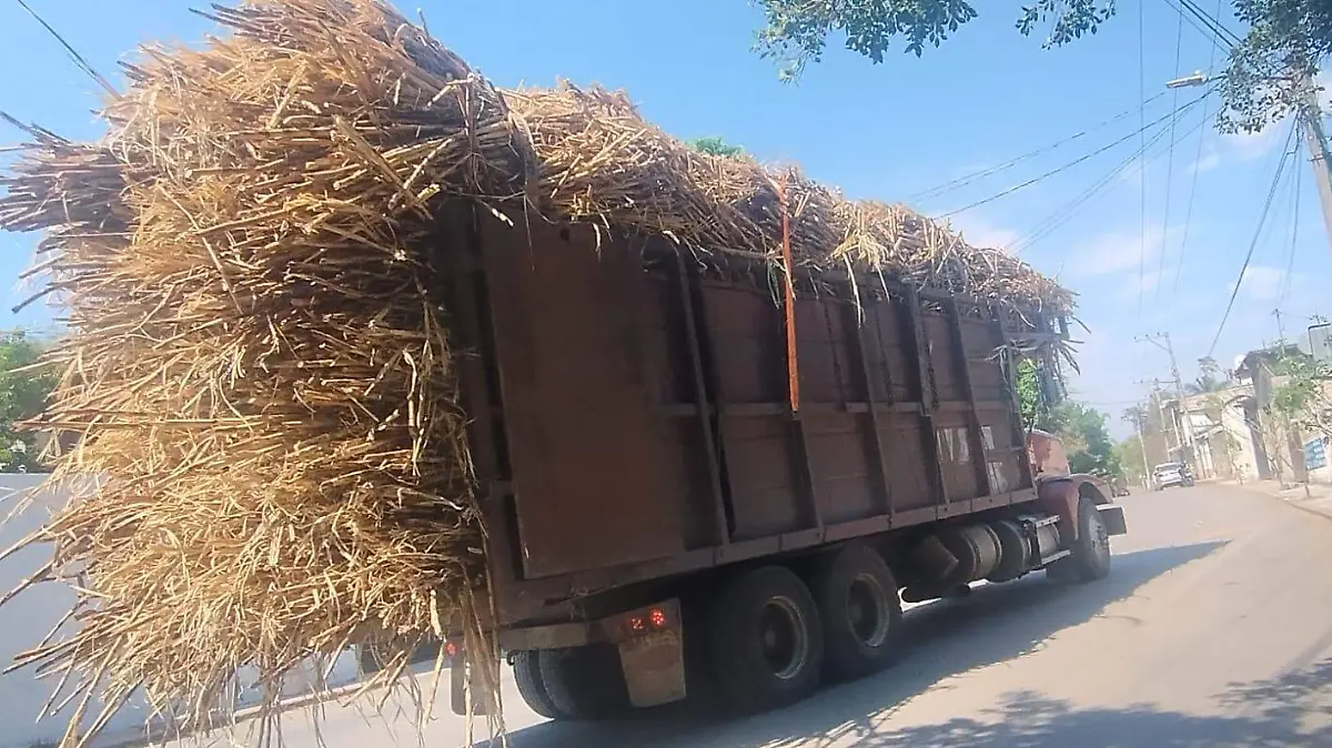 WhatsApp Image 2026-04-27 at 3.02.57 PM