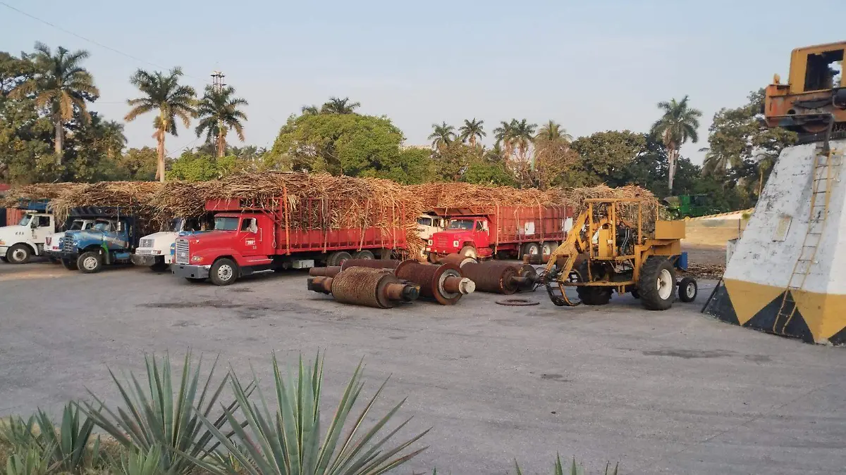 cañeros-morelos-zacatepec-crisis-campo (1)