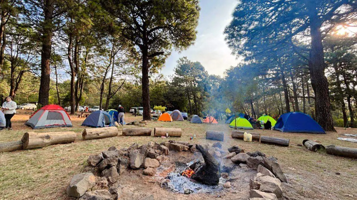 600264054_1458679746264331_8283888795421452437_n