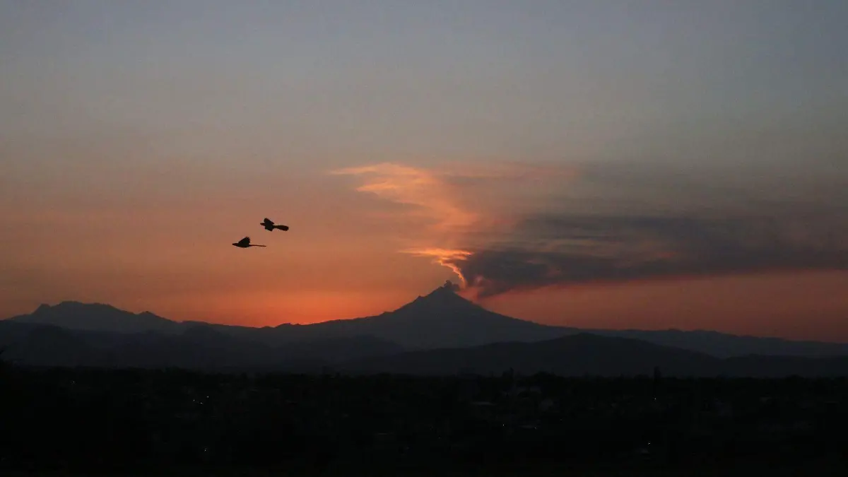 1079470_Amanecer Morelos_web