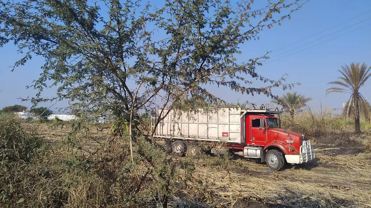 Camión-Caña-Morelos-Zafra