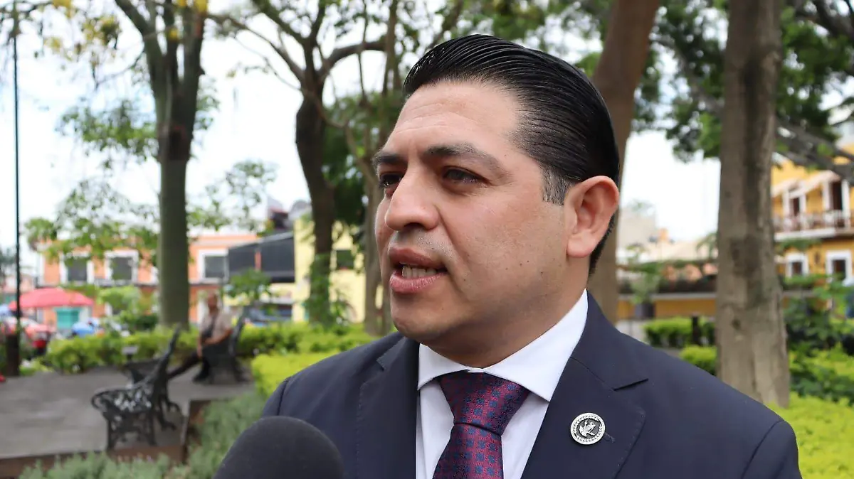 rafelbrito-eleccionjudical1-luis-flores