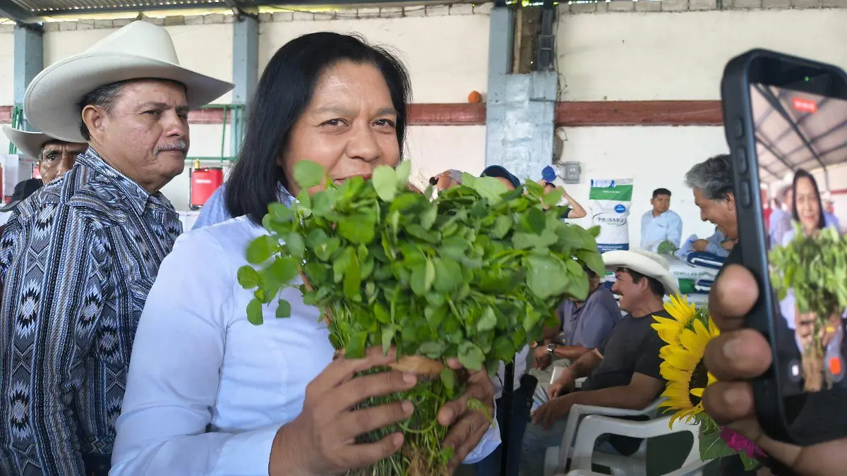 margarita-galeana