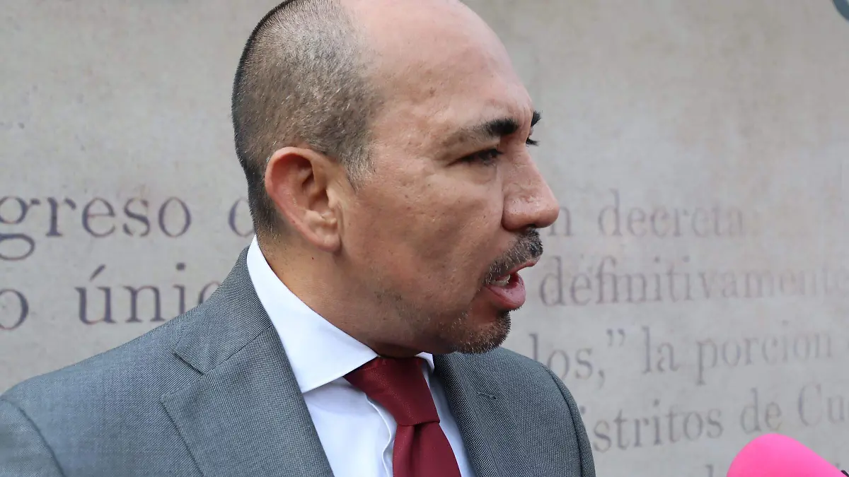 renuncia-porprocesoelectoral2-luis-flores