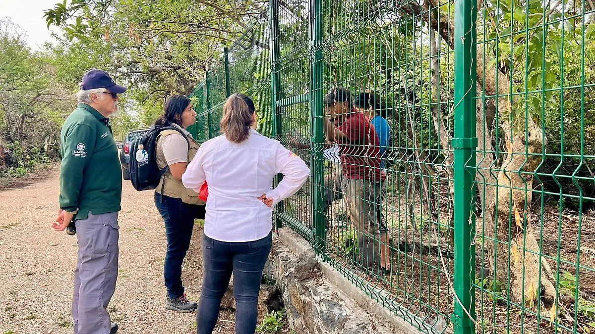 tepoztlán-conflicto-dos