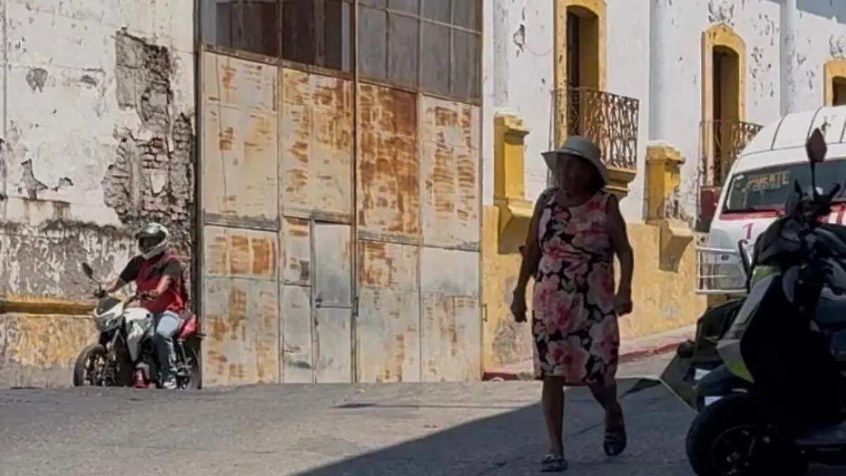 mujeres-zona-sur-morelos-angelina-albarran (1)