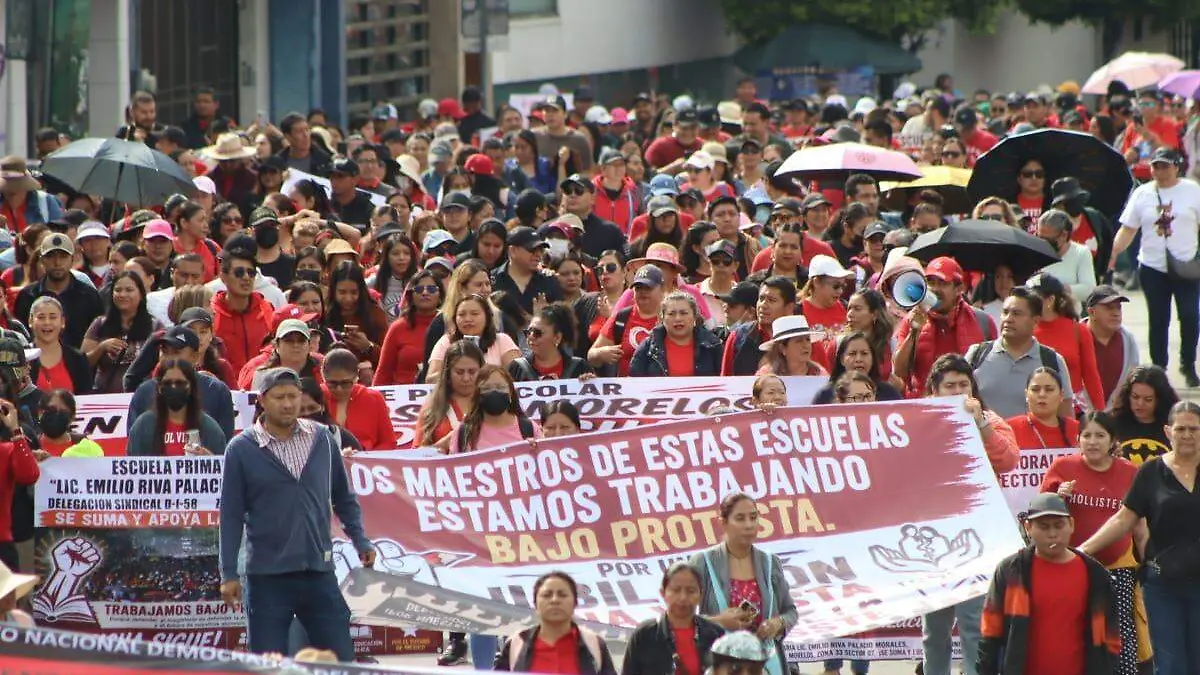 marcha-imss-luis