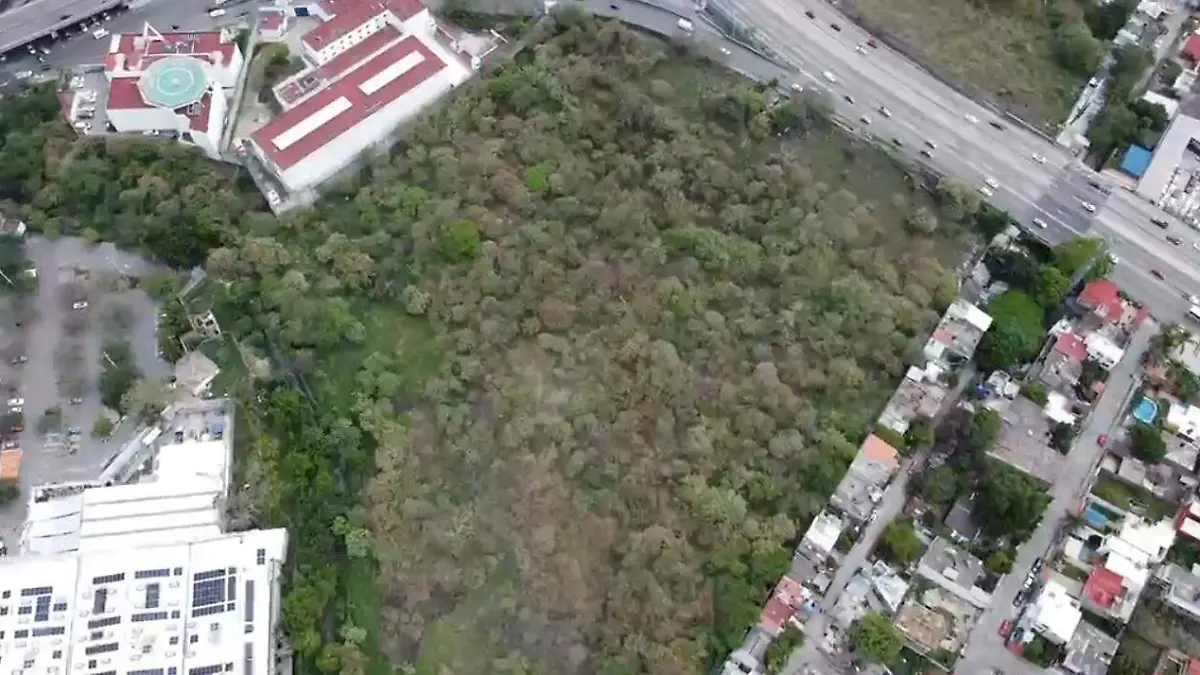 Alto-verde-proyecto-inmobiliario-guardianes de los árboles