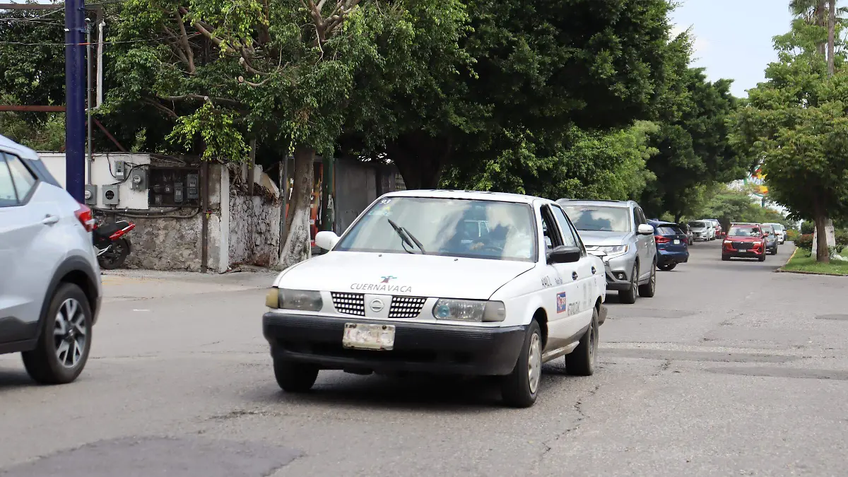 taxis-toxicologicos2-luis-flores