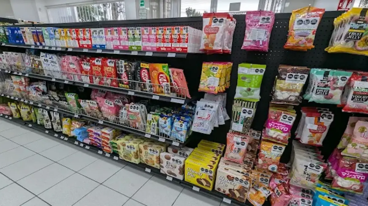 TOYO-FOODS-Cuernavaca-comida-oriental