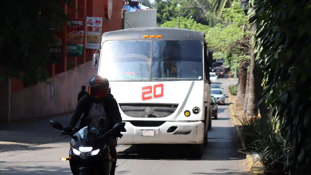 alza-transporte1-luis-flores