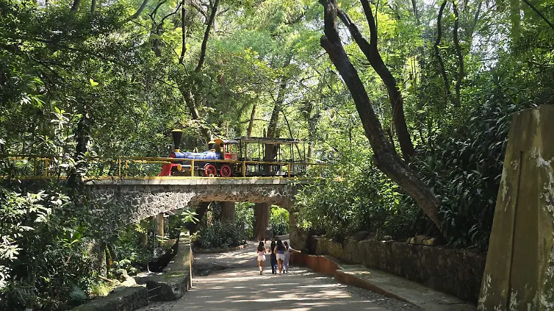 parque-barranca-chapultepec-cuatro