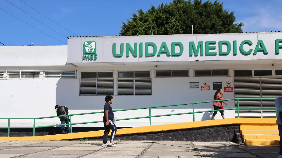 perdidasdeempleo-imss2-luis-flores