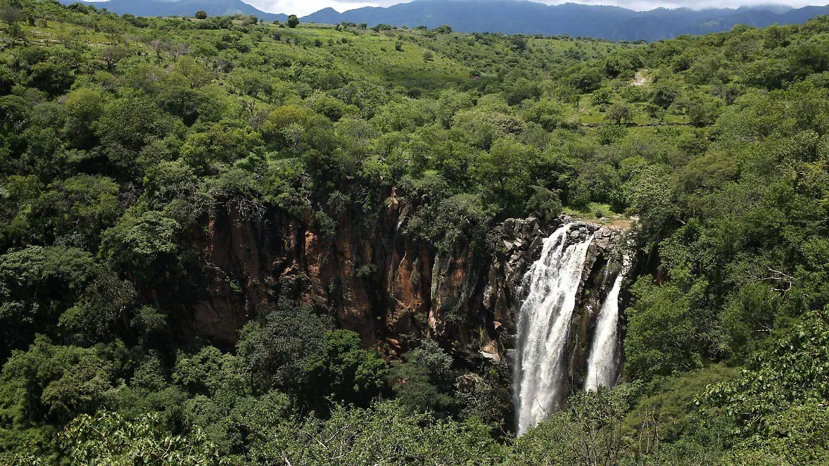 1046402_Salto Acatzingo_web