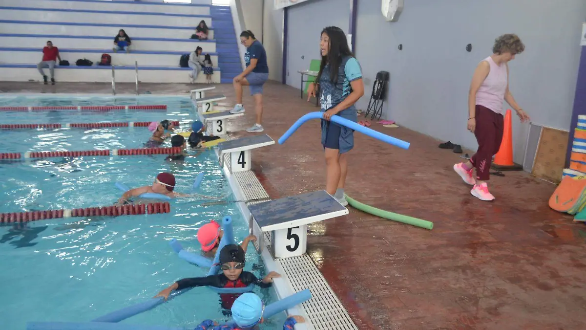 clases-natacion-centenario