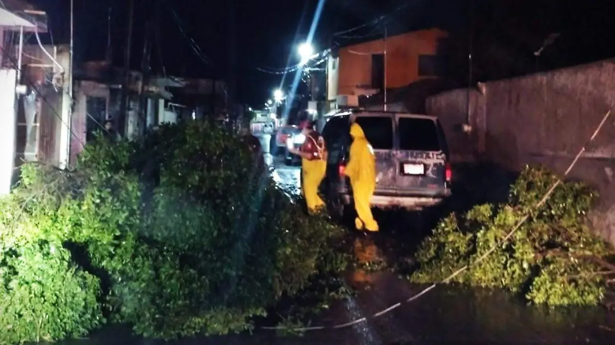 caída-arboles-zacatepec