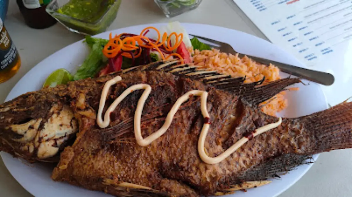 Mariscos-Estrella-de-Mar-Acatlipa