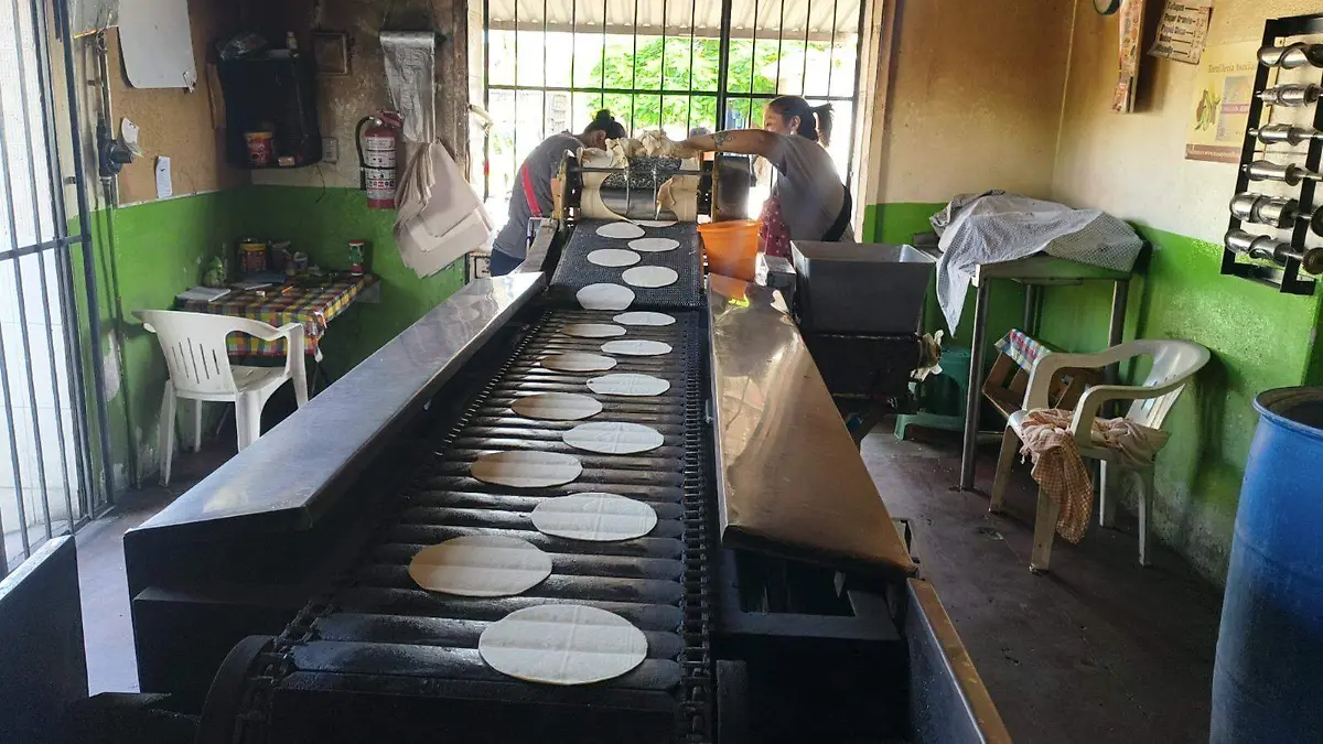 Tortillería-zona-sur