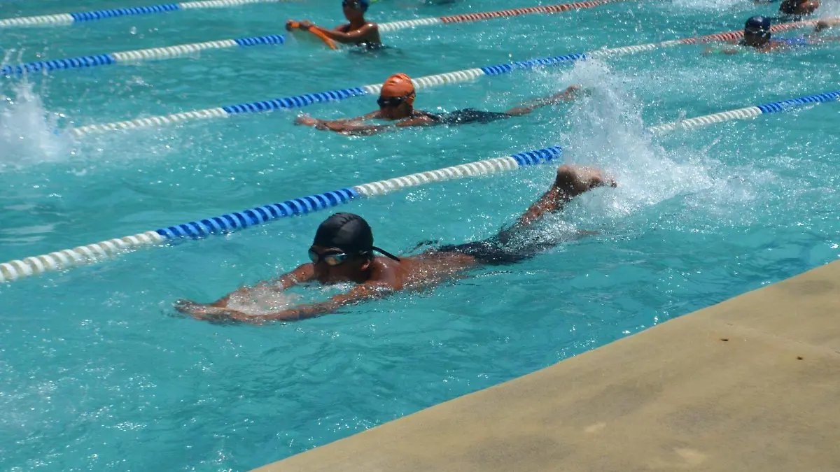 clases-natacion-revolucion