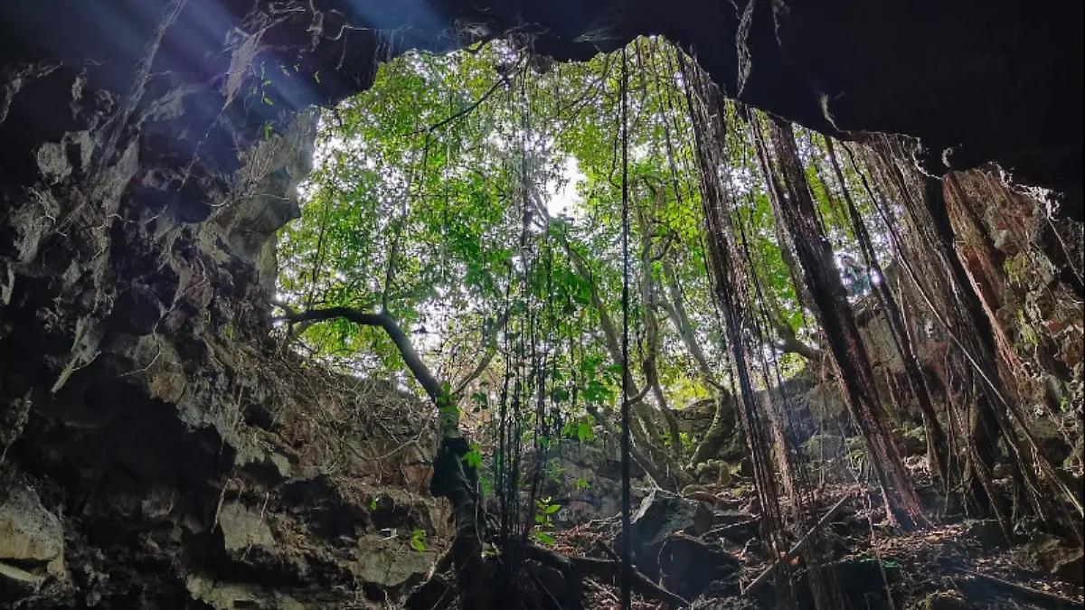 Cueva-de-las-raíces-ahuatepec-senderismo