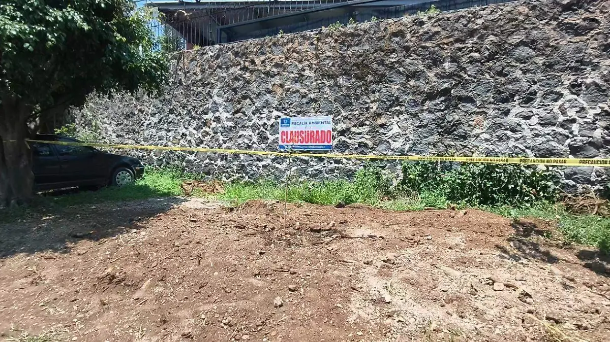 Río Pánuco-Vista Hermosa-tala de árboles