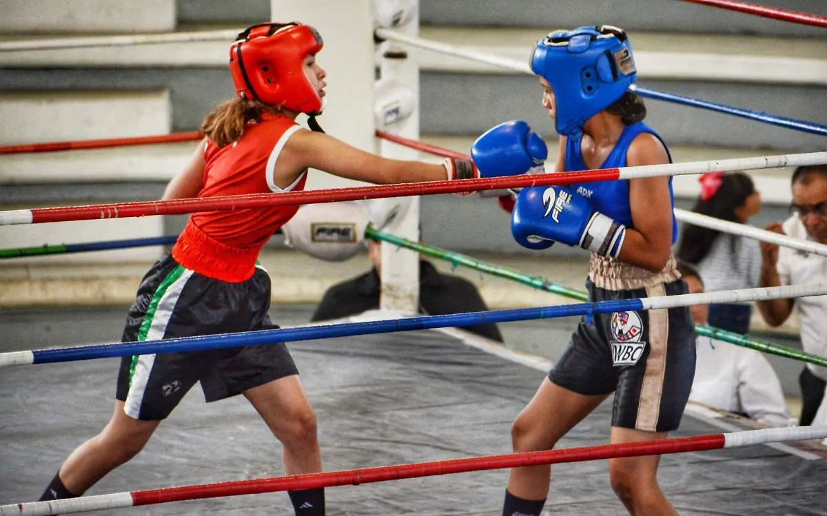 Celebran 15 combates de fogueo de box en Durango
