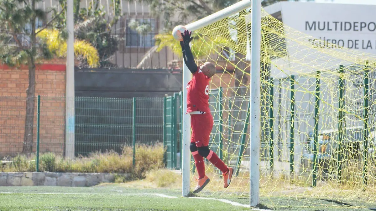 Categoría Premier en la Liga de Futbol Guadalupe Victoria