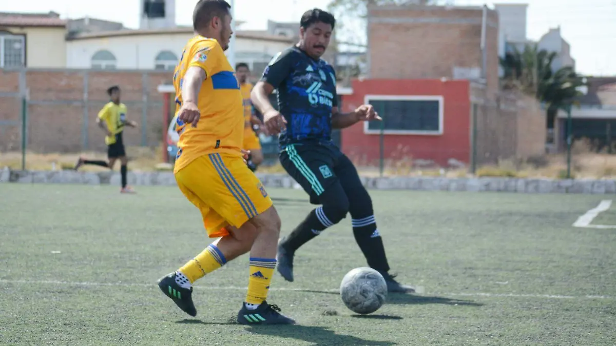 Categoría Premier en la Liga de Futbol Guadalupe Victoria