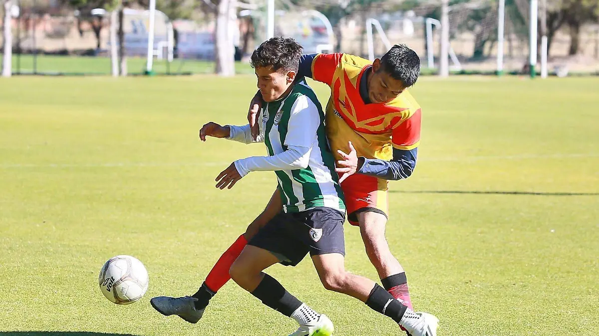 WhatsApp Image 2024-02-05 at 10.33.47 AM