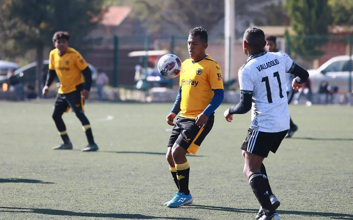 Campeonato de Primera División en la Liga de Futbol Guadalupe Victoria