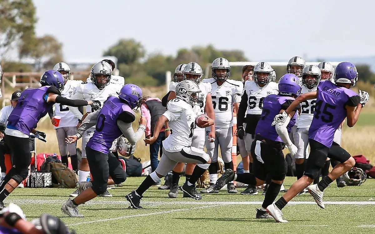 WhatsApp Image 2023-12-05 at 16.51.50