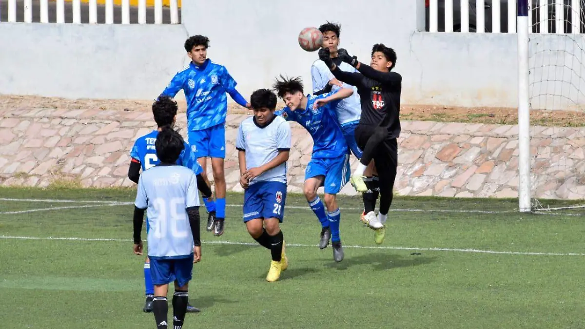 WhatsApp Image 2024-01-23 at 16.09.21 (1)