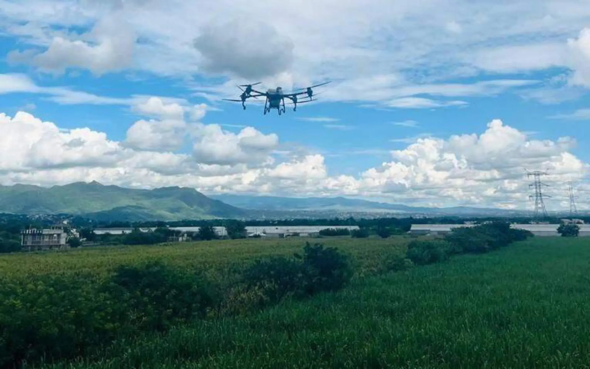 campo-drones-fumigación