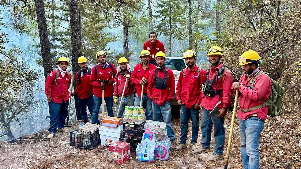 Controlados incendios forestales en San Dimas