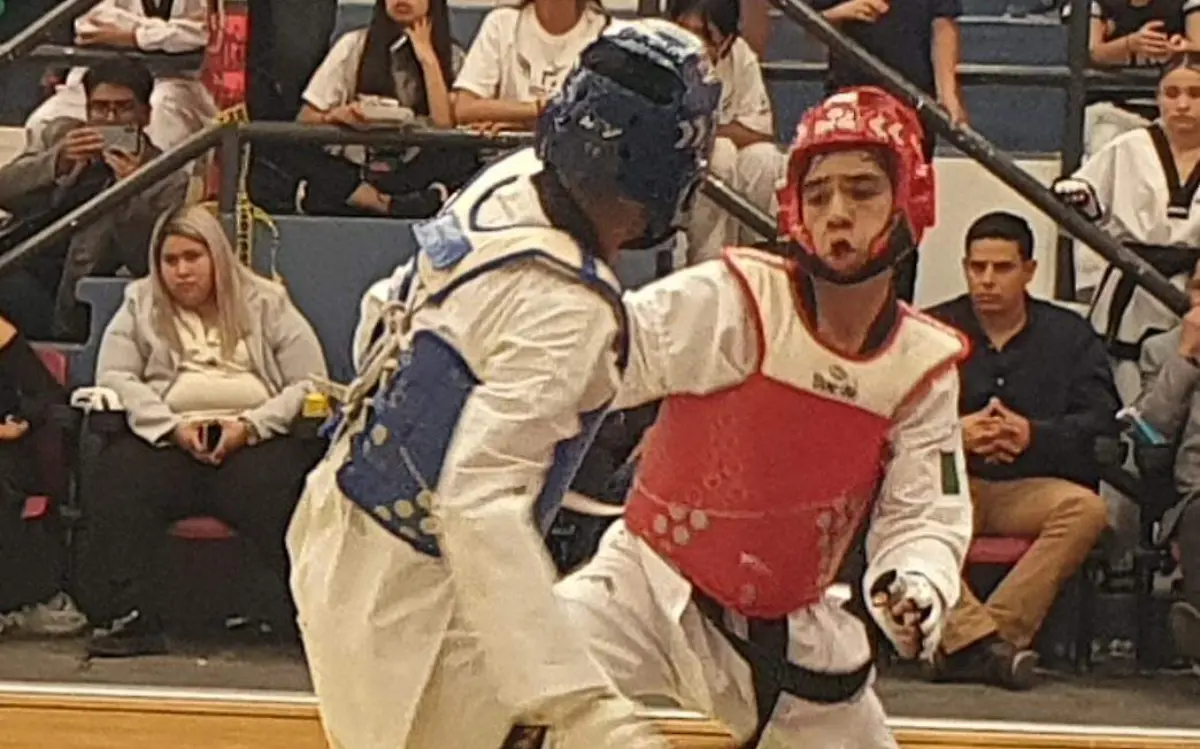 Juvenil y sub 20 con representantes en TKD
