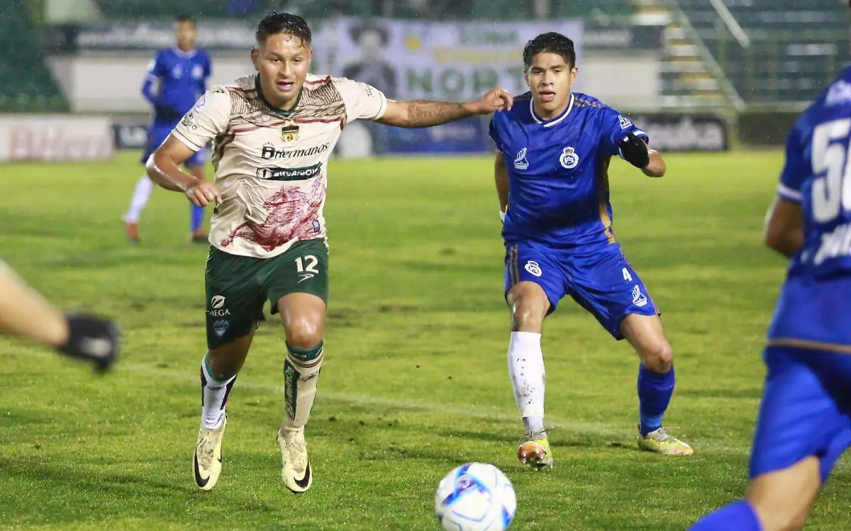 Triunfo lluvioso en el nido