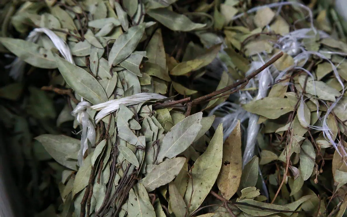Venden hierbas medicinales en Durango 