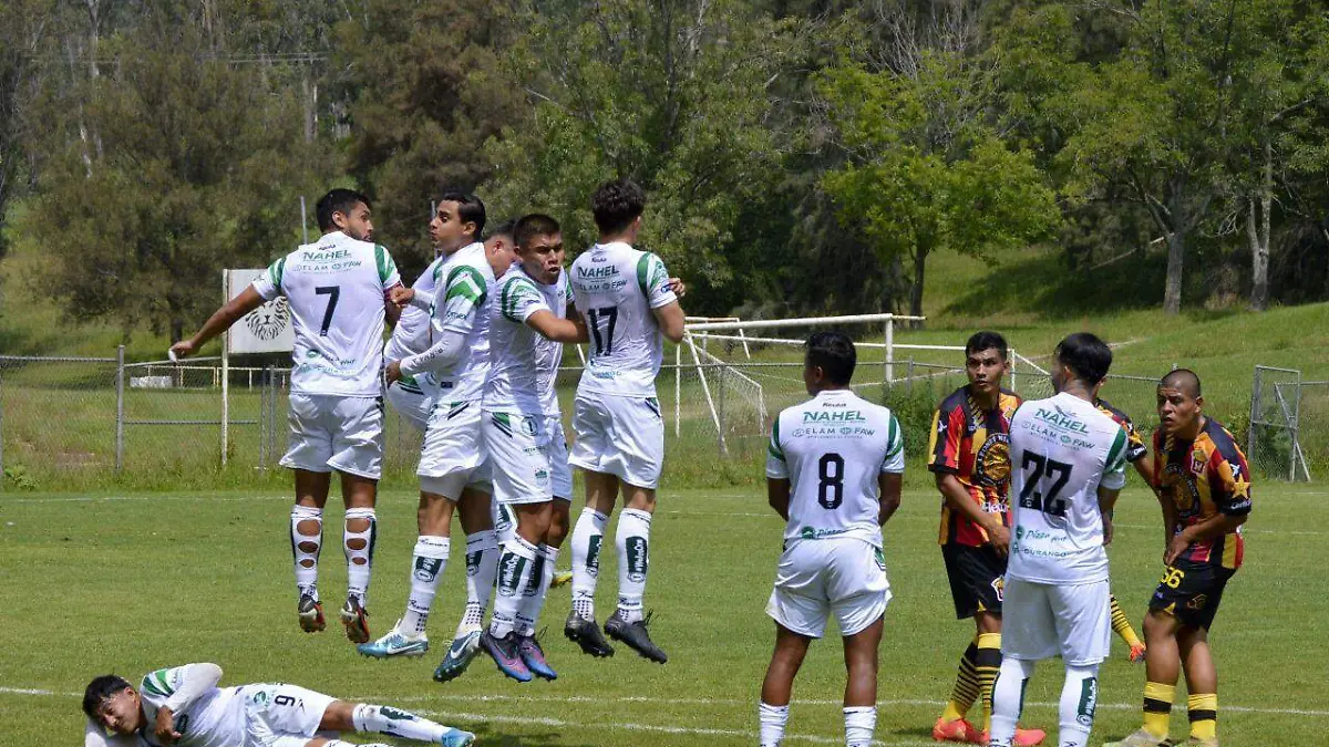 Alacranes divide puntos con Leones Negros