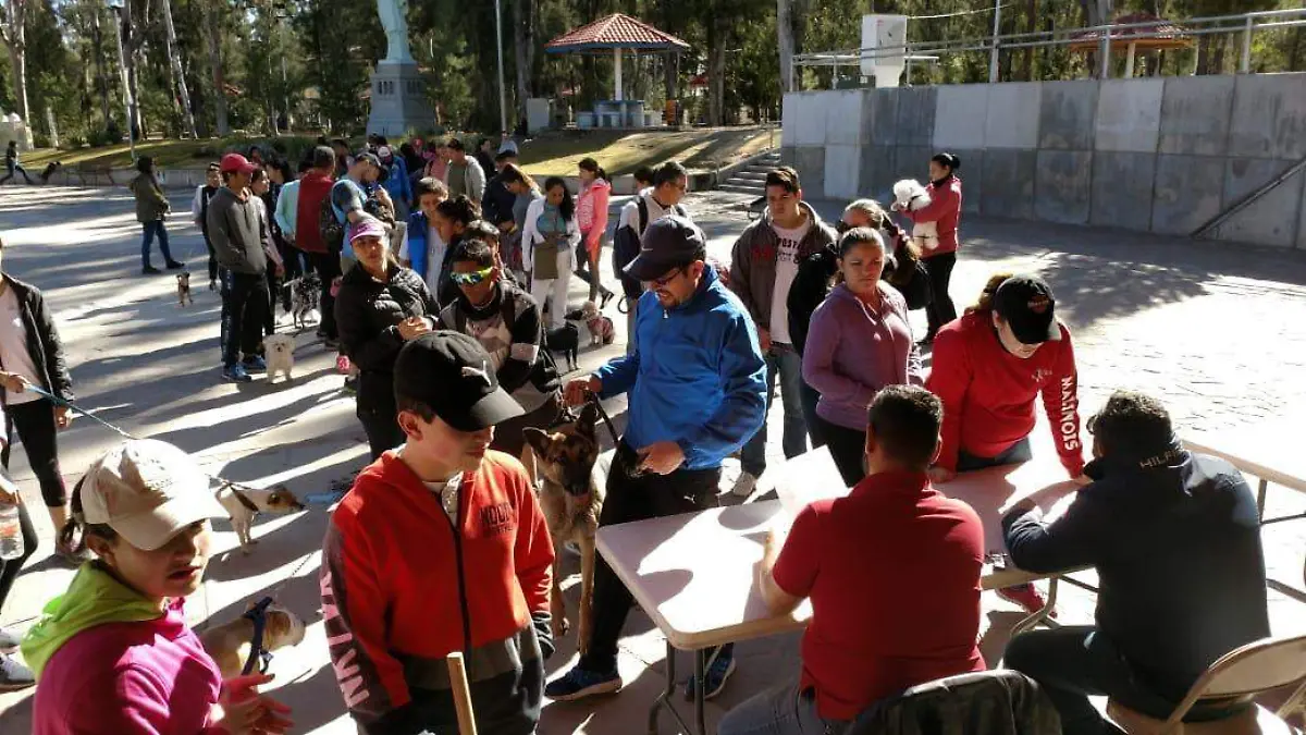 Caminata perruna… ¡y gatuna también!