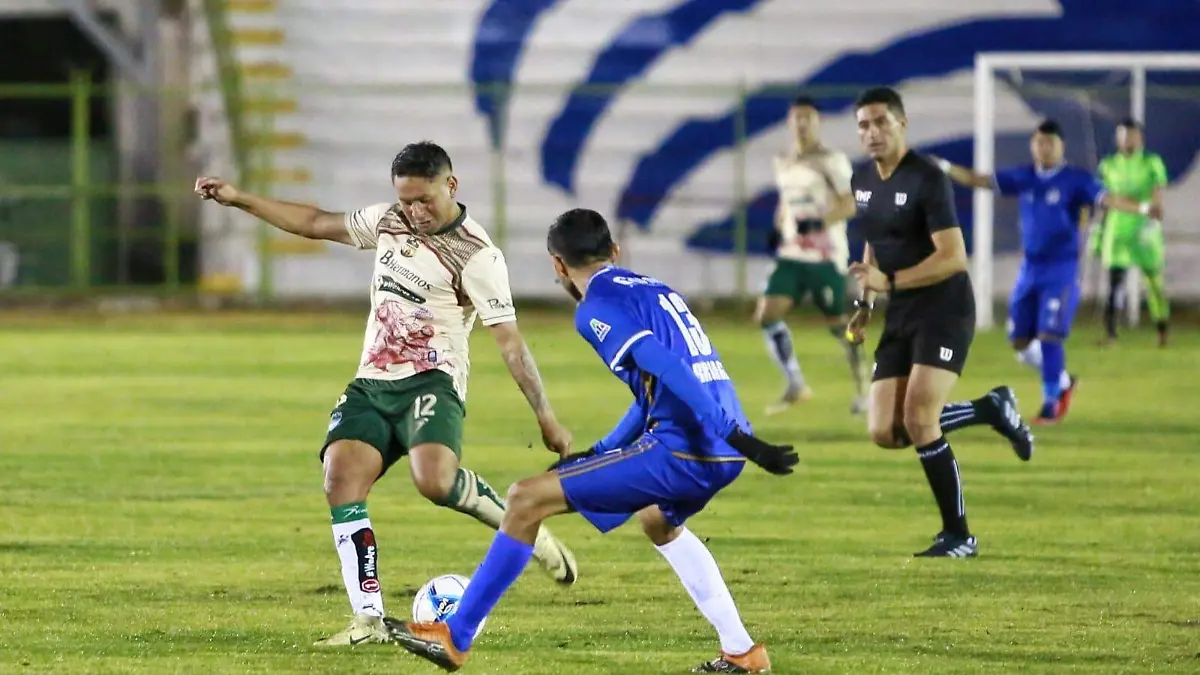 Triunfo lluvioso en el nido