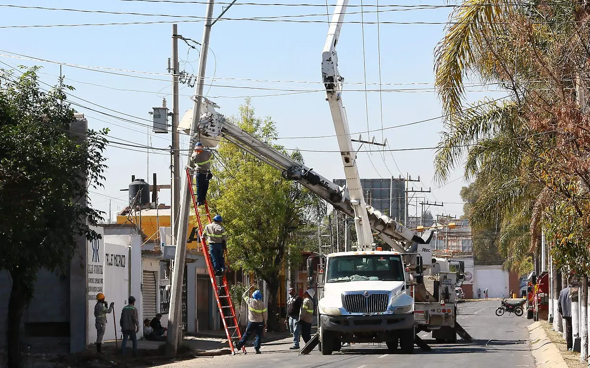 Tráiler derriba postes de luz en avenida Del Factor
